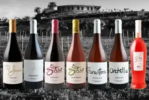 "Botellas de vino de la variedad Forastera Gomera en una bodega de La Gomera, destacando la viticultura heroica de la región."