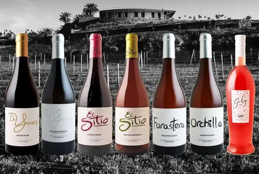 "Botellas de vino de la variedad Forastera Gomera en una bodega de La Gomera, destacando la viticultura heroica de la región."