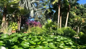 En la imagen se puede ver un jardín exuberante y cuidado en el Puerto de la Cruz, con una variedad de plantas y flores coloridas. El jardín está rodeado de senderos pavimentados y tiene una disposición paisajística que incluye caminos de piedra y áreas de césped. Al fondo, se distingue una estructura de estilo arquitectónico tradicional que añade un toque histórico al entorno. El ambiente general es de tranquilidad y belleza natural, ideal para pasear y disfrutar del paisaje.