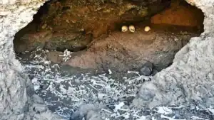 Cueva prehispánica en Canarias descubierta con un dron, que contiene restos óseos y cráneos antiguos.