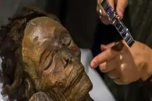 Primer plano de una momia guanche en Canarias, con un investigador realizando un análisis detallado de sus características.