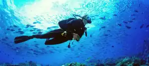 Buceo en las aguas cristalinas de las Islas Canarias, rodeado de fauna marina diversa y colorida.