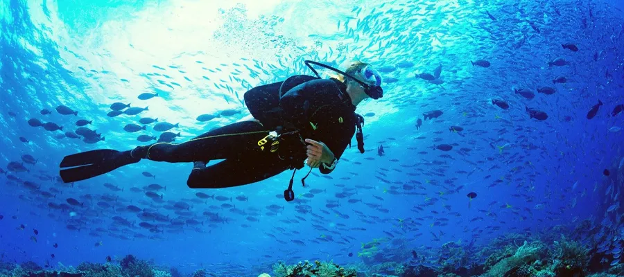 Buceo en las aguas cristalinas de las Islas Canarias, rodeado de fauna marina diversa y colorida.