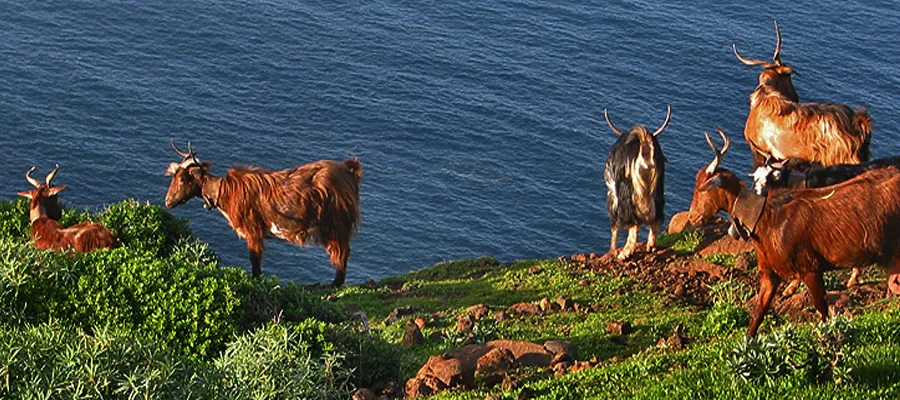 aventuras en La Palma