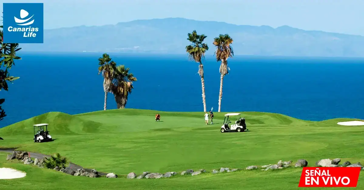 Jardín de golf con vistas al mar, palmeras, bolas de golf, carros de golf, paisaje natural y montañas en el fondo.