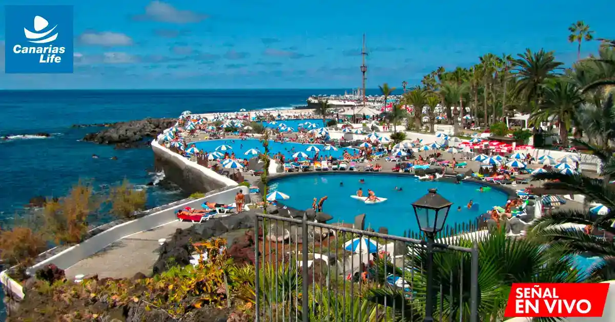 Piscina al aire libre con vista al mar, sombrillas y palmeras, en un entorno tropical lleno de vida.
