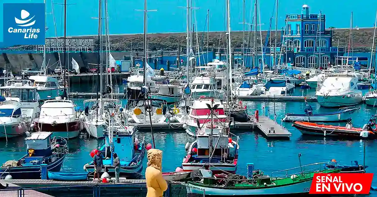 Puerto deportivo con barcos, marina, edificios azules y gente trabajando; paisaje costero vibrante.