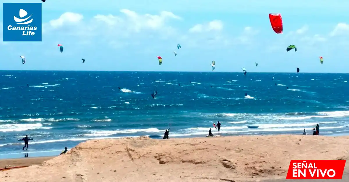 Kitesurfers en la playa, con el mar azul y olas pequeñas, bajo un cielo claro.