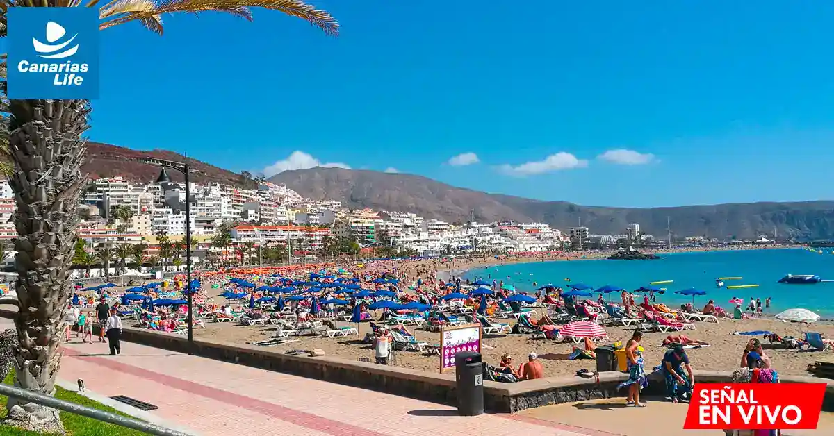 Plage animée à Playa de Las Teresitas, Tenerife, con palmeras, edificios costeros y montañas en el fondo.