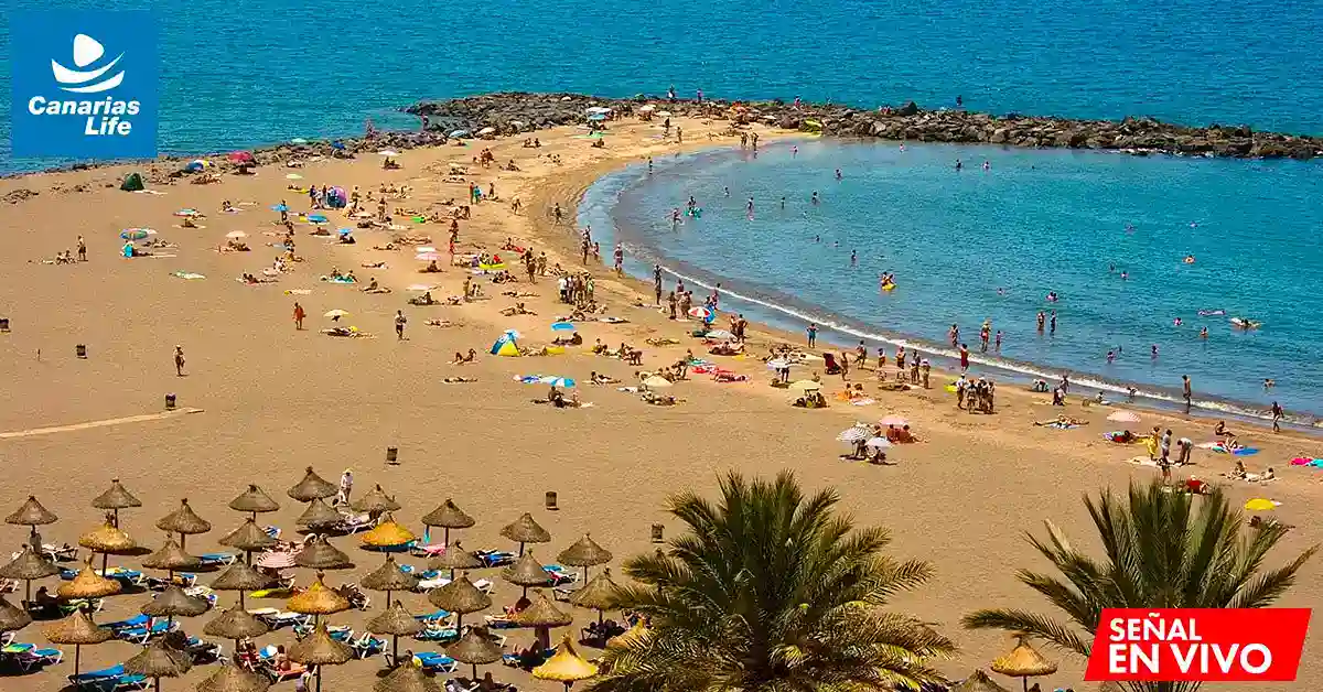 Playa concurrida con sombrillas, arena dorada y mar azul, paisaje tropical con palmeras.