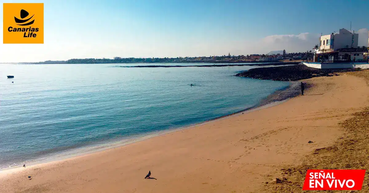 Playa tranquila con arena dorada, agua azul cristalina, edificios blancos, y una persona caminando, bajo el sol brillante.