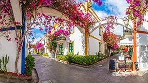 Puerto Mogán, bouganville