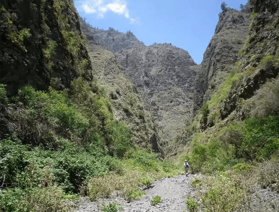 tesoro templario en Tenerife
