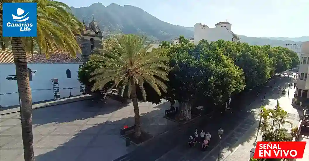 Plaza con palmeras, edificios blancos y montañas en el fondo, con gente sentada y caminando.