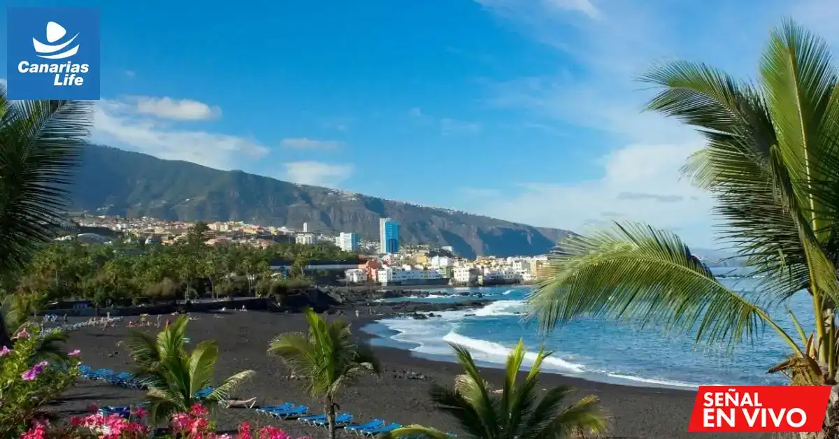 Playa negra con palmeras, montañas en el fondo y edificios costeros bajo un cielo azul despejado.