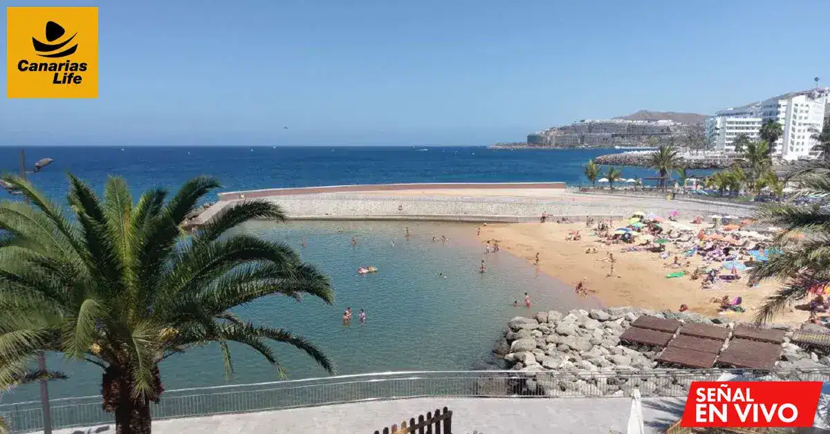 Playa con arena, agua azul, palmeras, edificios, gente disfrutando, mar abierto.