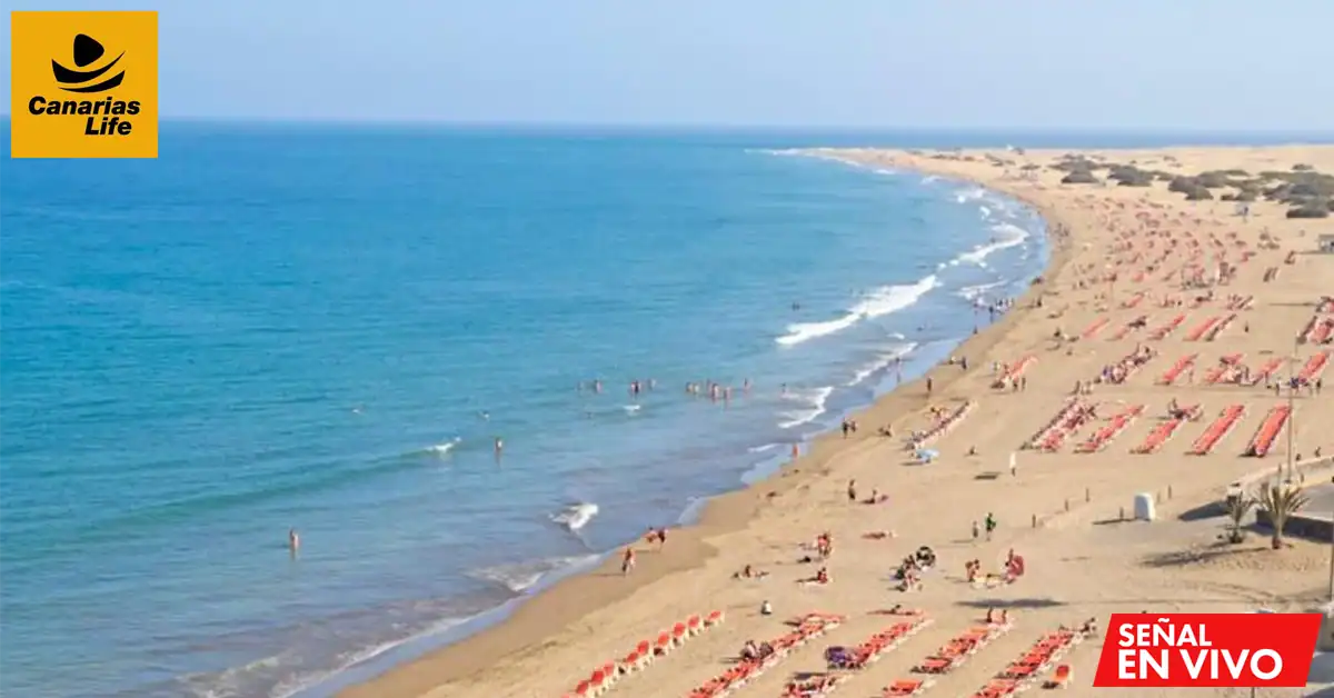 Vista aérea de la concurrida Playa del Inglés en Gran Canaria, con sus extensas arenas doradas, el mar turquesa y la hilera de palmeras que bordean el paseo marítimo. Se observan personas disfrutando del sol, sombrillas playeras y deportes acuáticos en esta famosa playa canaria.