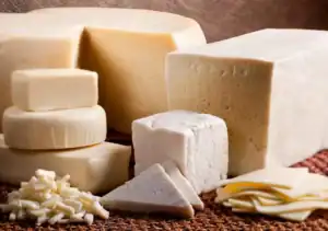 formaggio di La Palma. Varietà di formaggi in diverse forme e dimensioni, da fette sottili a grandi blocchi, presentati su una superficie testurizzata.