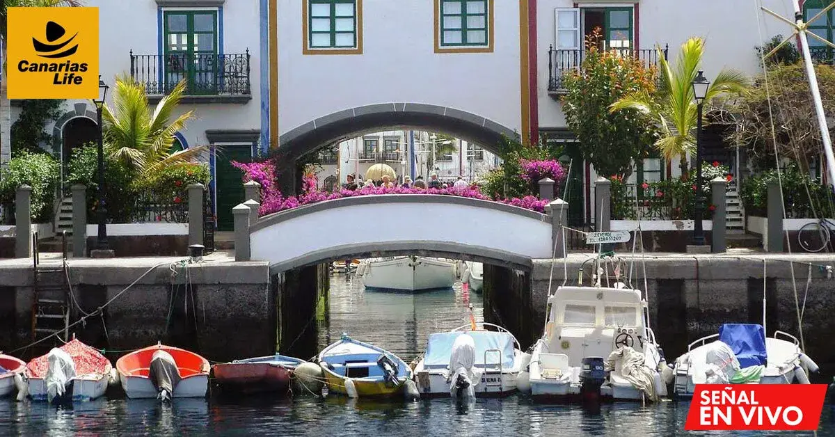 Puente en el puerto de Canarias con barcos y flores coloridas, vista de webcams CanariasLife.
