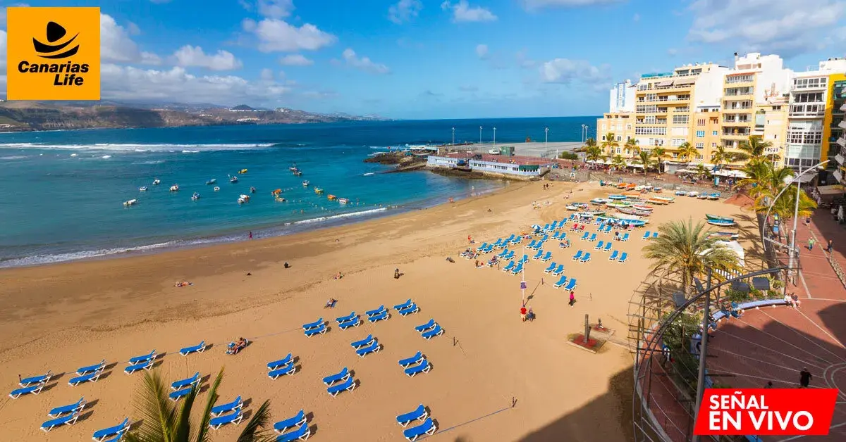 1. vistas de webcams en Canarias con playa y mar azul.