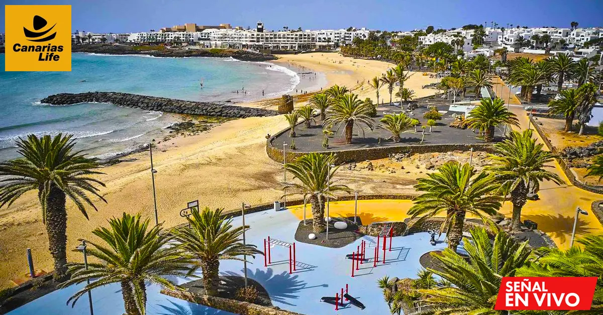 Arena de playa en Canarias con palmeras, zona de ocio y vistas al mar, en webcam en vivo.