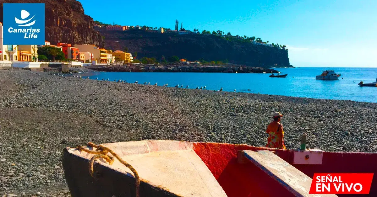 Cámaras en Tenerife con vistas a playas y paisajes canarios en tiempo real.