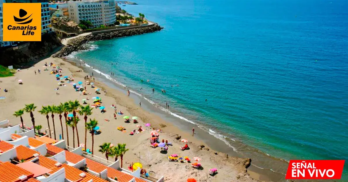 1. vistas en vivo de la playa en Canarias, cámaras web en tiempo real.