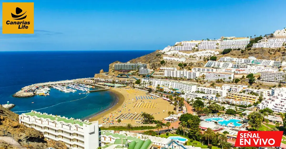 1. Vista panorámica en vivo de la playa y puerto en Canarias, perfectas para webcams en Canarias.