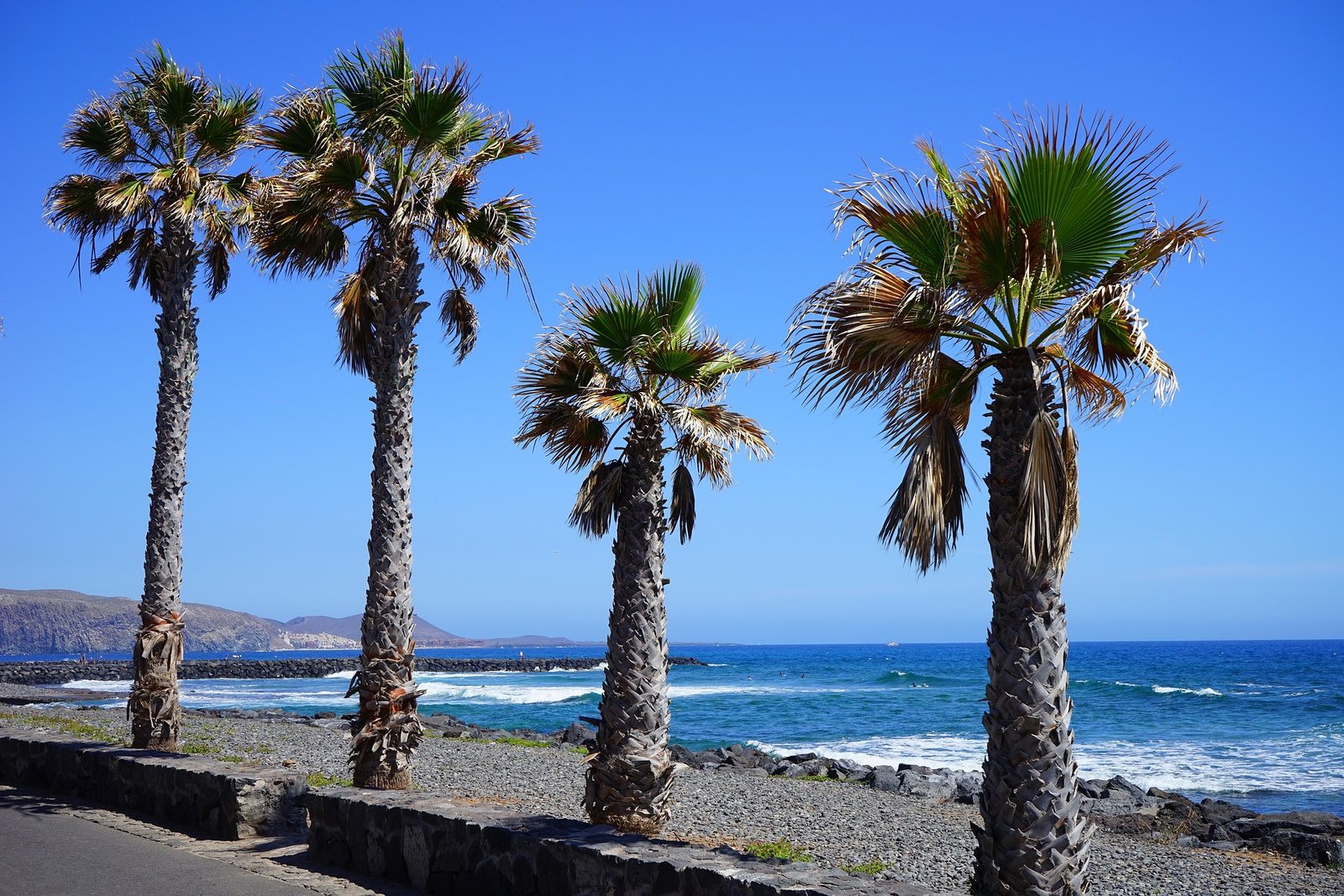 actividades en Playa de Las Américas. Palmeras, mar azul, playas de piedra, paisaje costero.