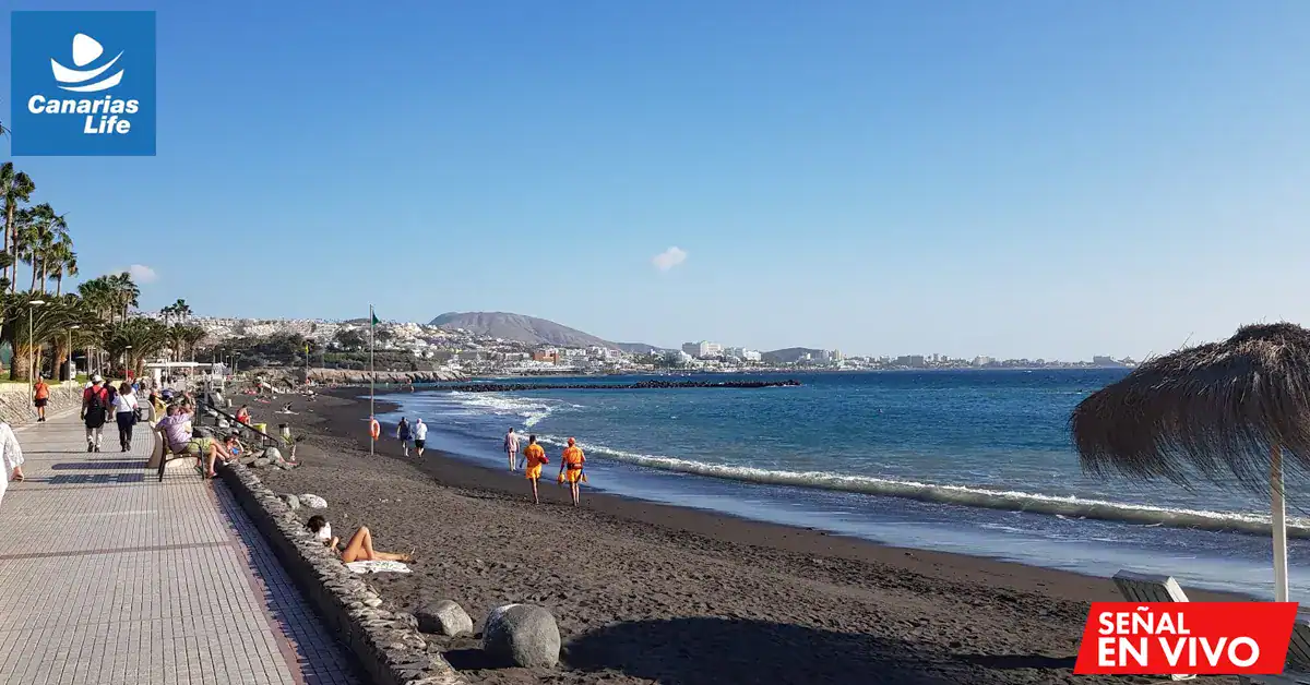 1. Vista en vivo de la playa de Canarias desde una webcam en CanariasLife.