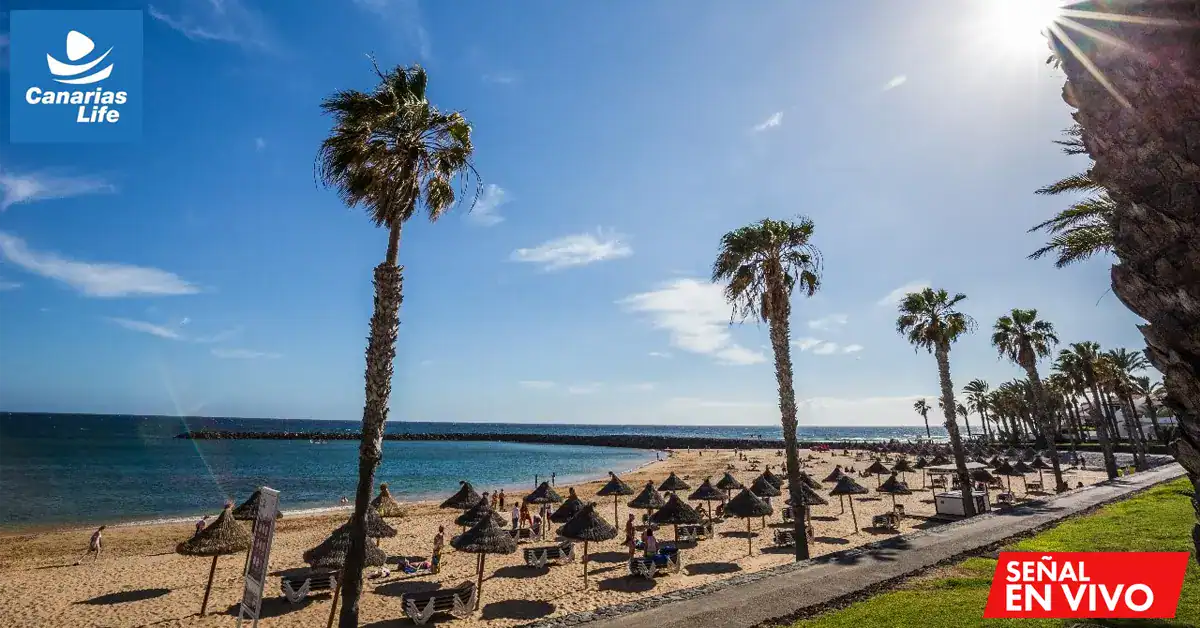 1. Playas de Canarias, webcam en vivo con vistas al mar y palmeras.