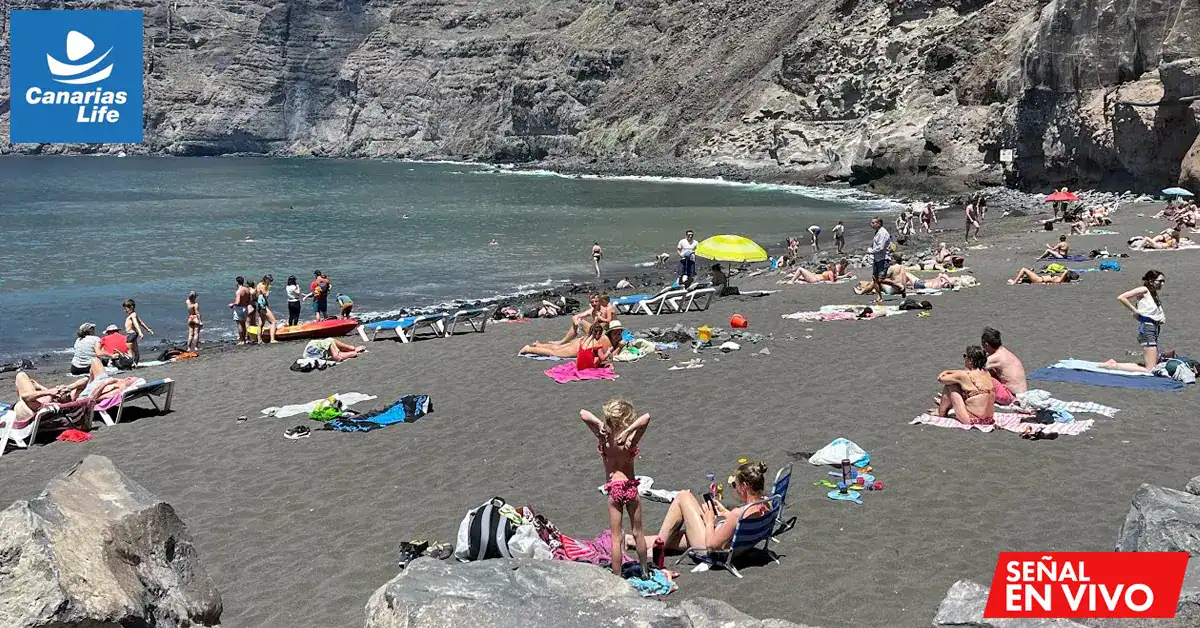 1. Playa de Canarias con vistas en webcam en vivo, arena negra y turistas disfrutando del sol.