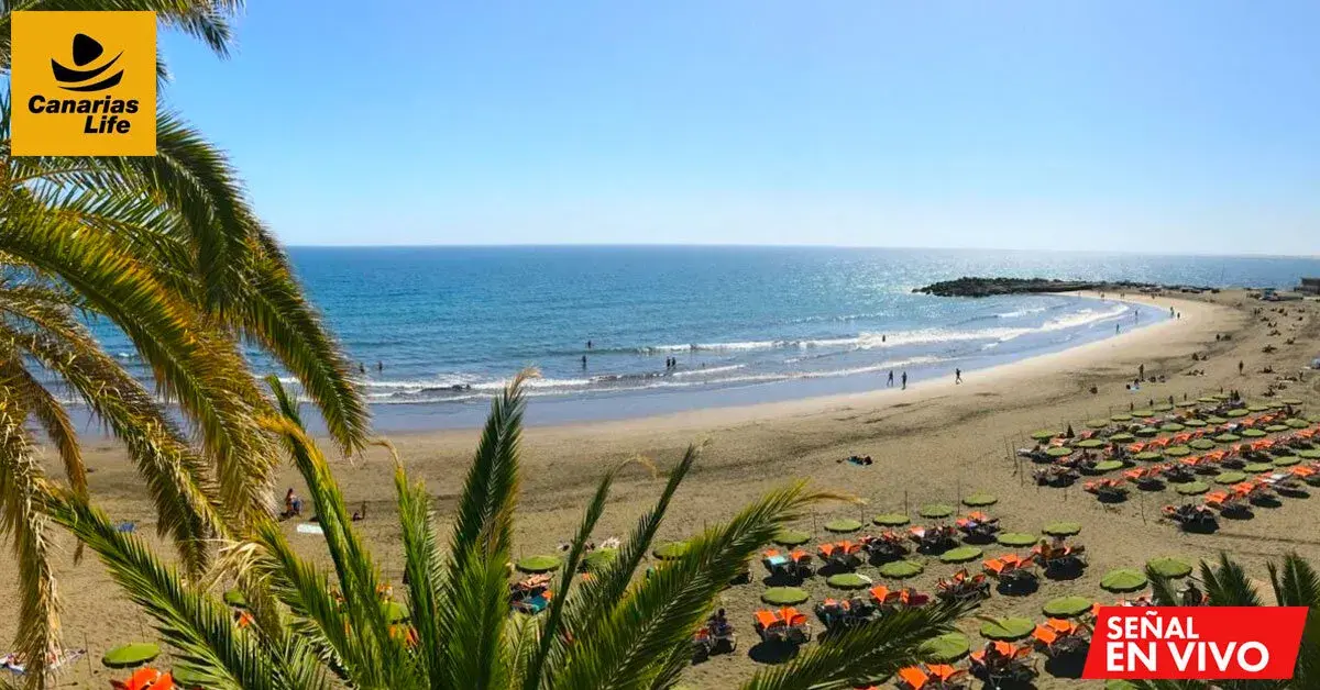 Palma beach in Gran Canaria with clear blue sea and sunny weather.