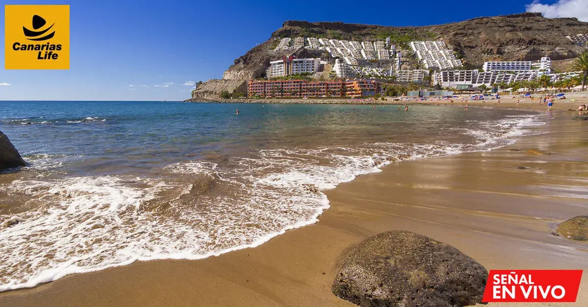 1. Playas de Canarias en webcams en vivo, vistas de arena, mar y costa.