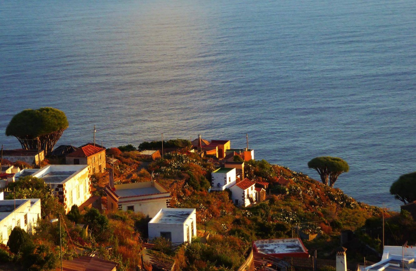 Vista aérea de un pequeño pueblo costero asentado en una ladera que desciende hacia el mar. Las casas, de paredes blancas y techos rojos o verdes, se distribuyen entre vegetación baja y árboles con copa redondeada —posiblemente drago canario— bañadas por la luz dorada del atardecer o amanecer. El océano azul se extiende hasta el horizonte, con su superficie serena y ondulante. La escena transmite calma, rusticidad y armonía con la naturaleza, típica de las islas Canarias, como La Palma.