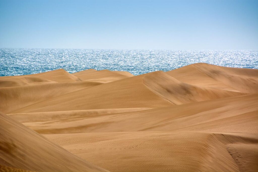 Extenso paisaje de dunas de arena dorada con suaves ondulaciones y texturas marcadas por el viento, que se extienden hasta encontrarse con el océano brillante en el horizonte. El cielo está despejado y la luz resalta el contraste entre la arena cálida y el azul intenso del mar.