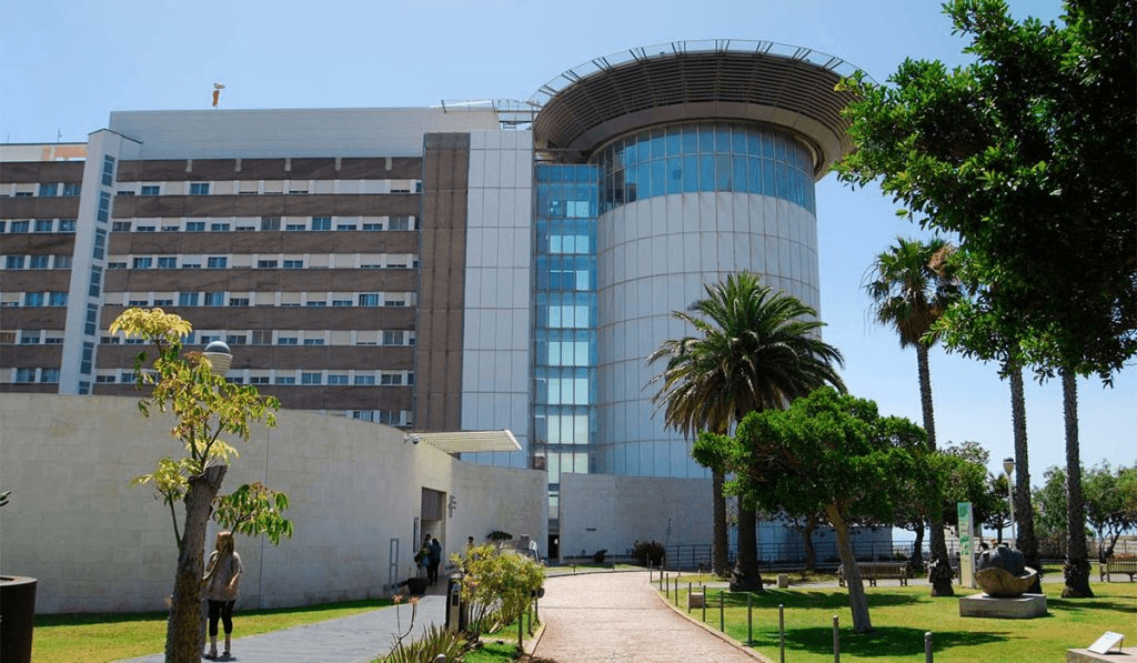 Edificio hospitalario moderno con fachada de varias plantas y una torre cilíndrica de cristal, rodeado de jardines con palmeras y un camino de acceso en primer plano.
