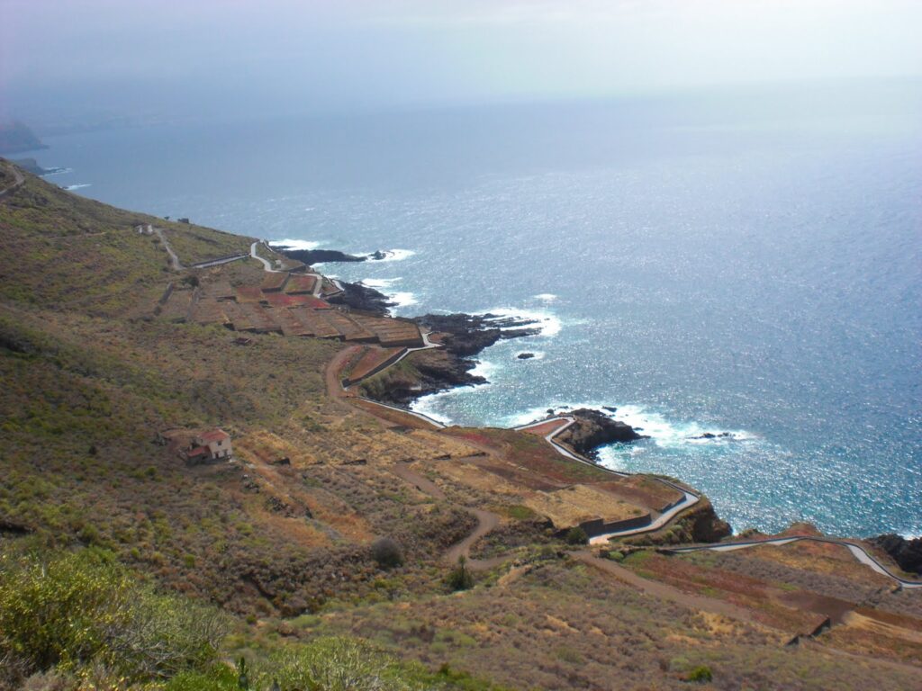 Acantilados de El Sauzal Tenerife con vistas al Atlántico y vegetación canaria