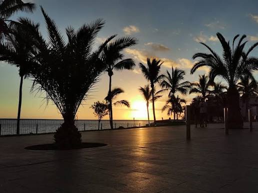 Atardecer en playa Puerto Naos La Palma con el Atlántico y palmeras, webcam en tiempo real La Palma