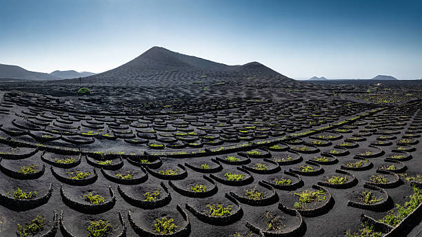 Cámara en vivo Lanzarote San Bartolomé vista desde Montaña Mina con viñedos La Geria y volcanes