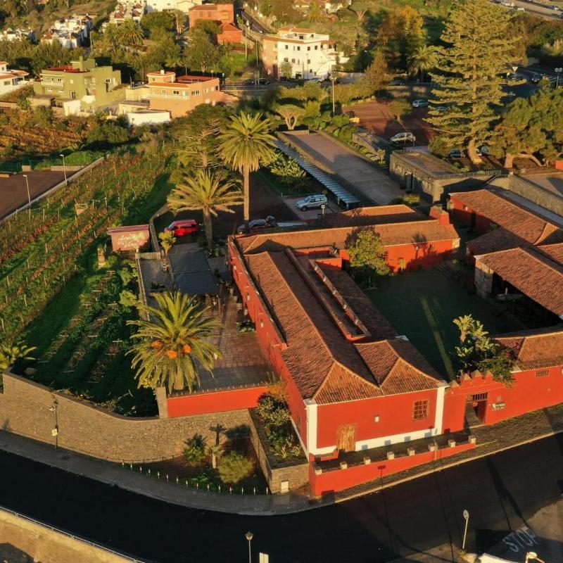 Casa del Vino El Sauzal Tenerife con viñedos y acantilados al fondo