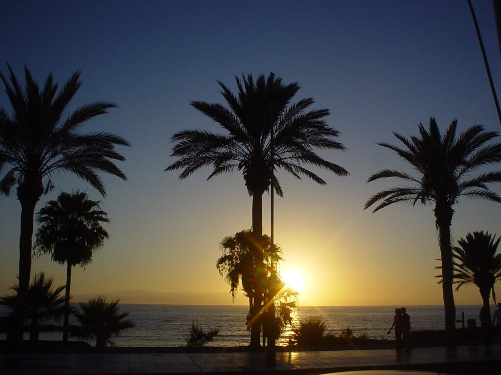 Paseo marítimo de Playa de las Américas al atardecer con bares y restaurantes iluminados, Tenerife