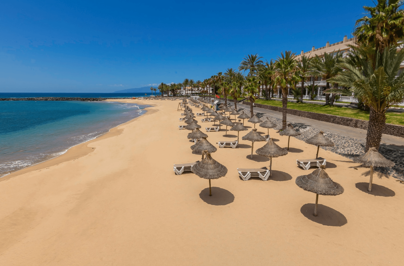 Playa Las Vistas o Playa del Camisón con palmeras Playa Las Vistas en Arona, Tenerife, arena dorada y aguas tranquilas