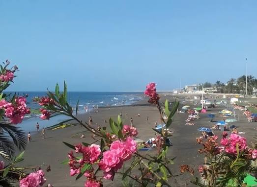 Playa de San Agustín con arena dorada y aguas tranquilas, San Bartolomé de Tirajana, Gran Canaria