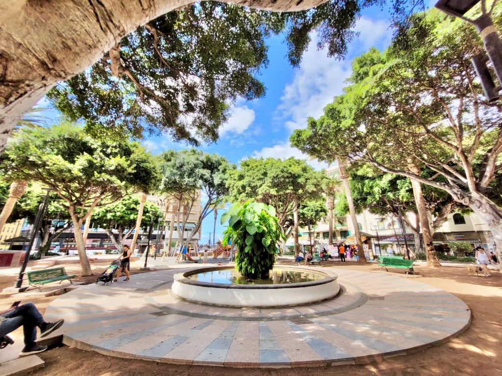 Plaza del Charco en Puerto de la Cruz, Tenerife, con terrazas y ambiente local