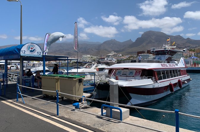 Puerto Colón junto a la Playa La Pinta Costa Adeje con barcos de excursión y vistas al Atlántico Tenerife
