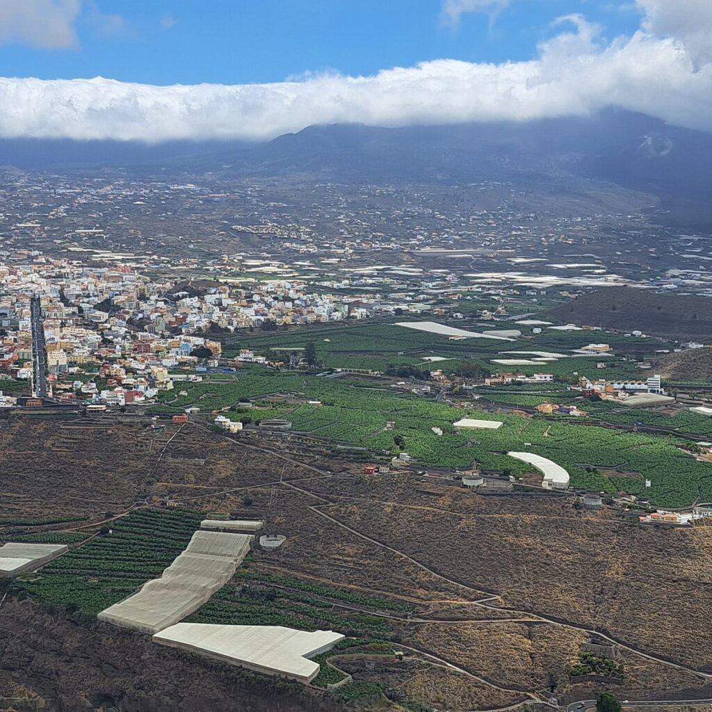 Vistas panorámicas desde el Mirador El Time con el Barranco de las Angustias y plataneras, La Palma