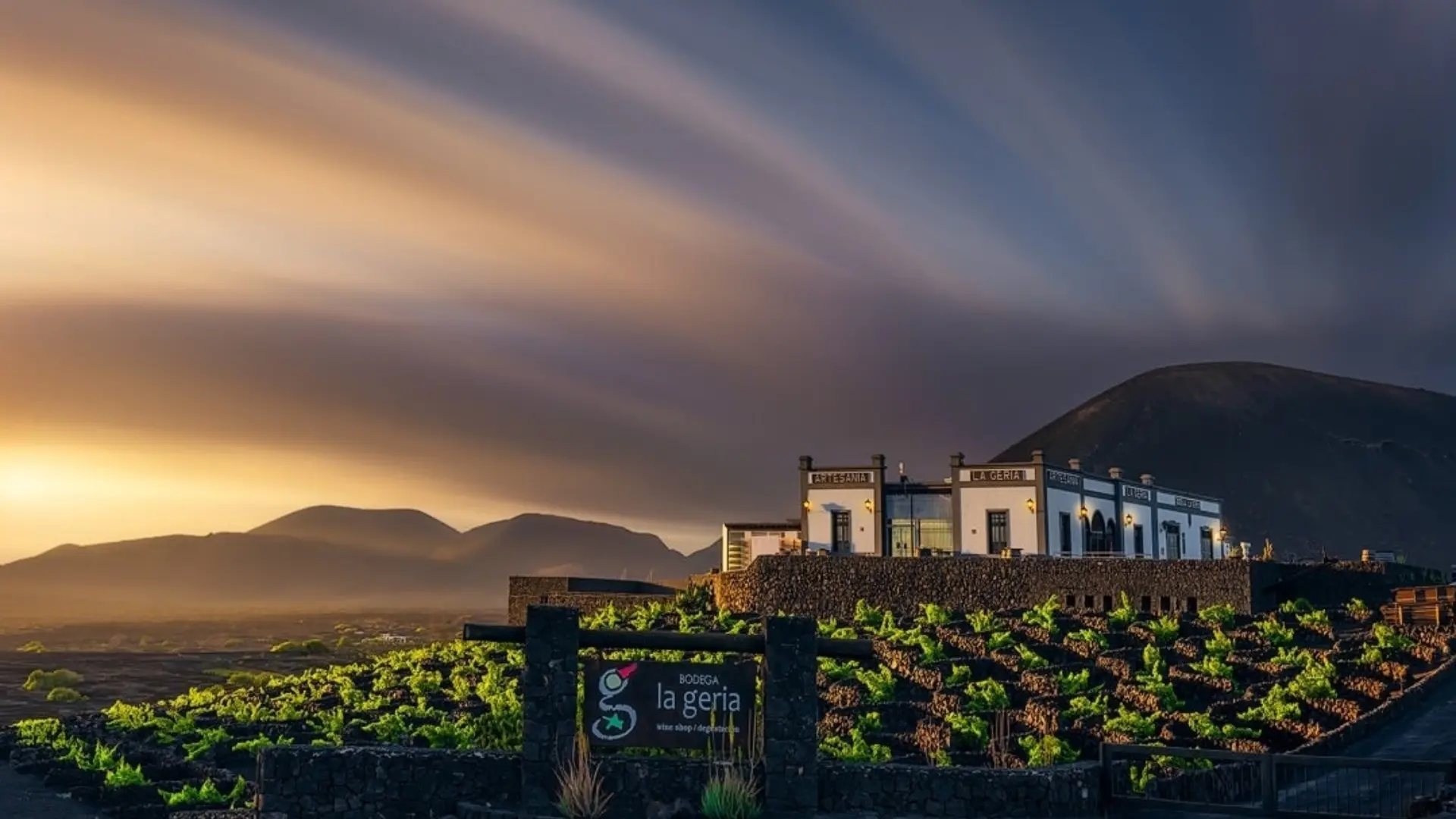 Viñedos de La Geria en San Bartolomé Viñedos de La Geria en San Bartolomé, Lanzarote, con zocos de piedra volcánica