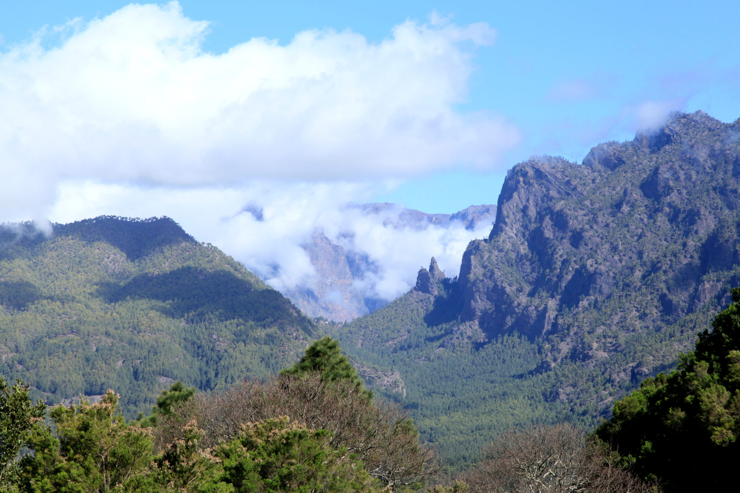 El Paso La Palma, Roque Idafe en el interior de la Caldera de Taburiente con pinos canarios