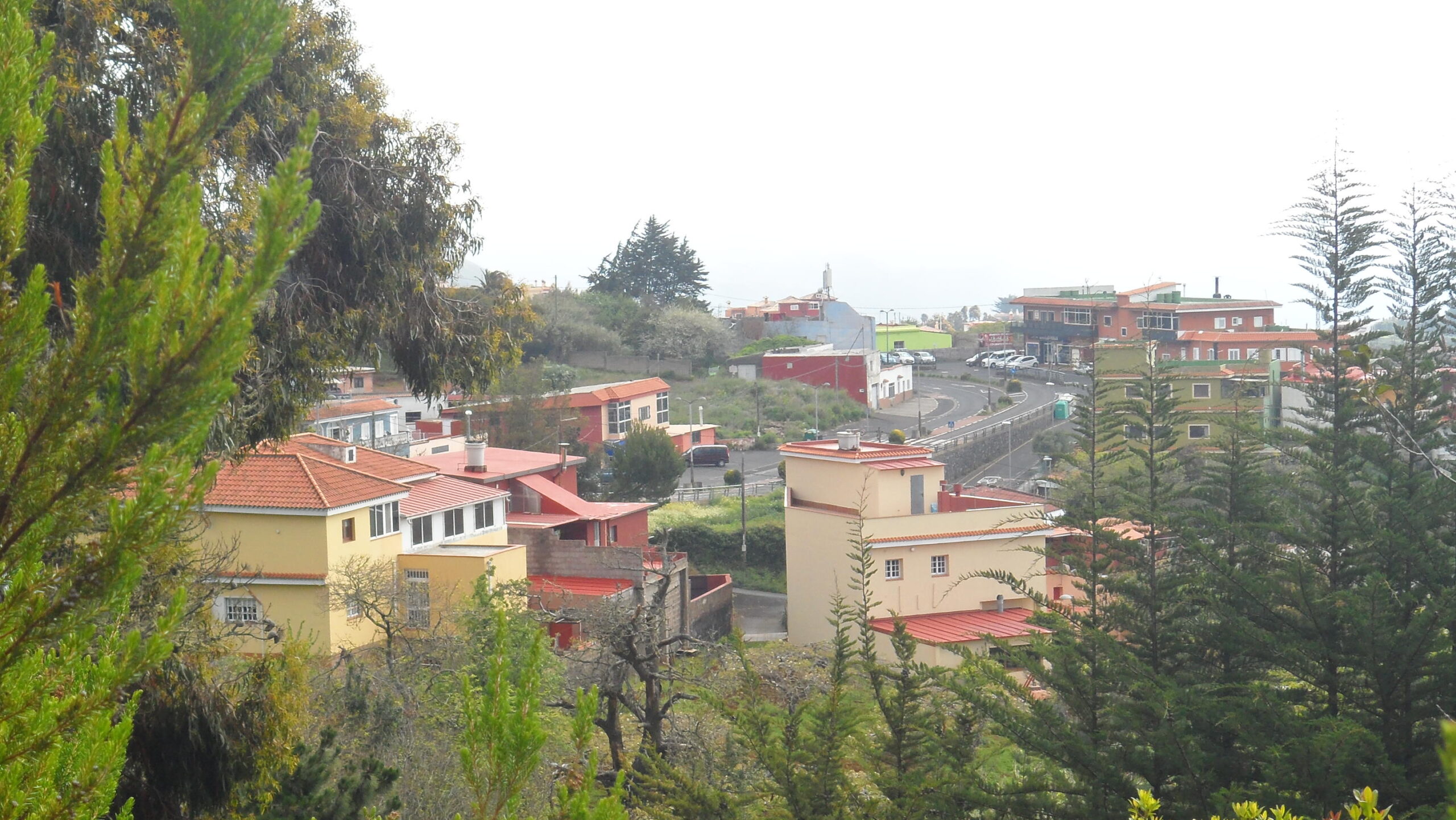 El Rosario Tenerife, vista del pueblo de La Esperanza entre pinares